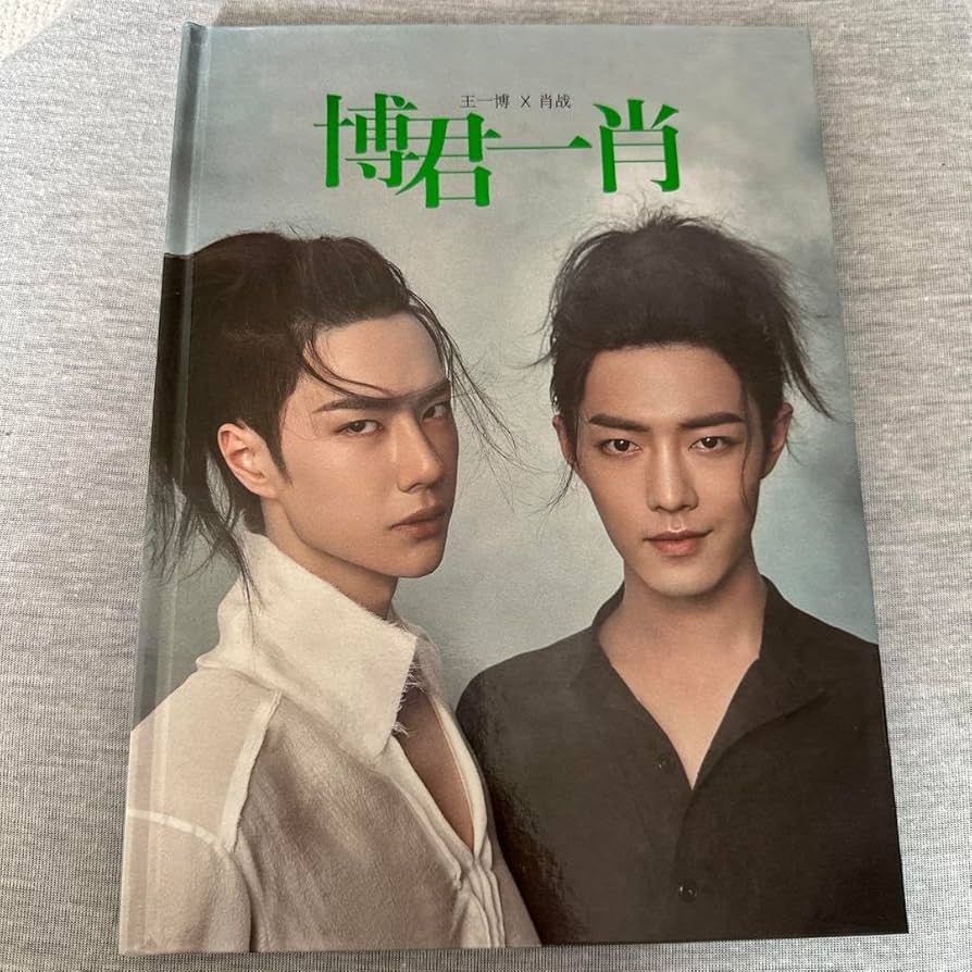 陳情令「南京コンサート」博君一肖 肖戦　王一博写真集 陳情令「南京コンサート」博君一肖 肖戦 王一博写真集